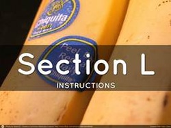 Section L. Instructions, Conditions, and Notices to Offerors